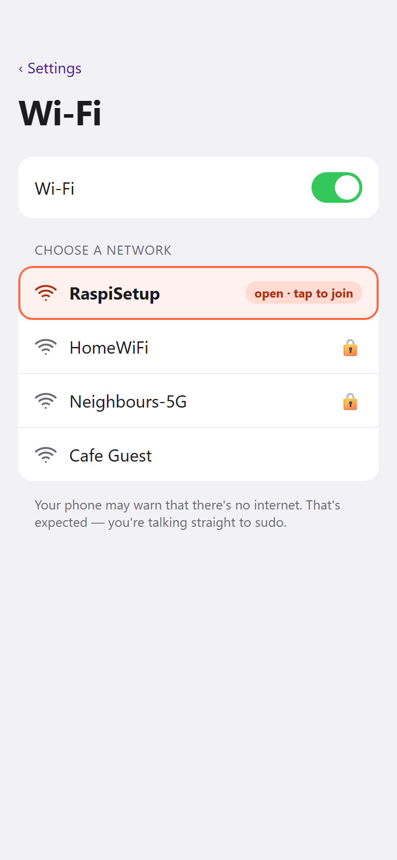 A phone's Wi-Fi settings with the RaspiSetup network highlighted.